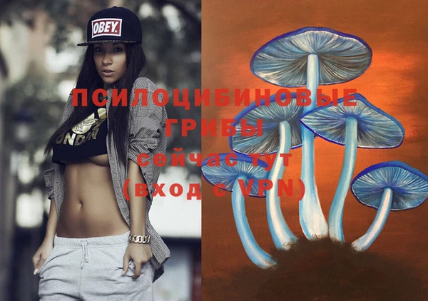 ECSTASY Алзамай