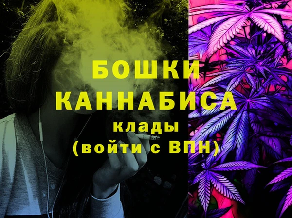 PSILOCYBIN Покачи