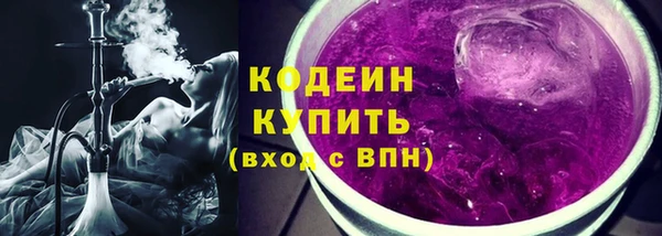 ECSTASY Алзамай