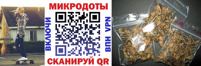 Псилоцибиновые грибы Psilocybine cubensis  mega вход  Краснообск 